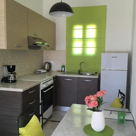 Pleiades Paros Family