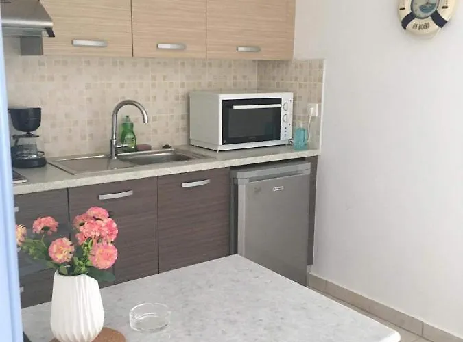 Pleiades Paros Family