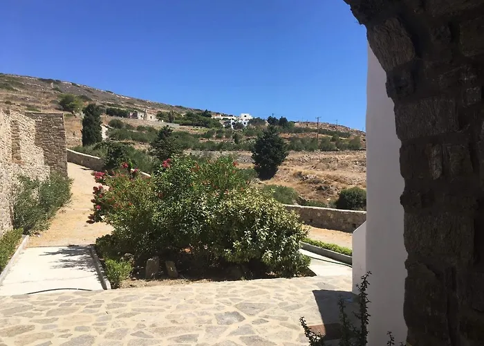 Pleiades Paros Family