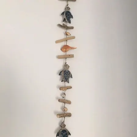 Pleiades Paros Family